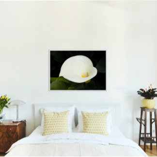 Pôster Elegante White Calla Lily Bloom Floral