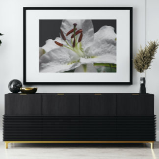 Pôster Elegante White Oriental Lily Floral