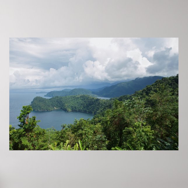 Pôster elementos do paraíso (Frente)