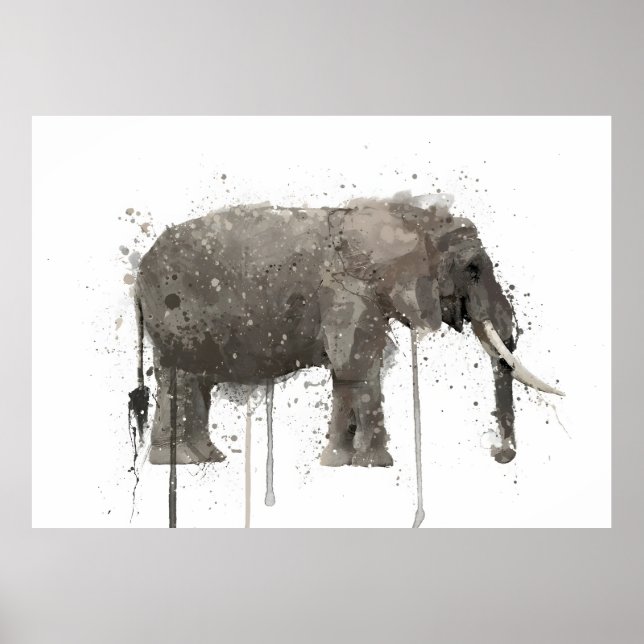 Poster Elephant  (Frente)