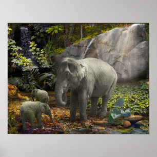 Poster Elephant Family RAIN FOREST PARTY