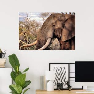 Poster Elephant Lovers Art