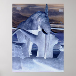 Pôster Elephant Pop Art