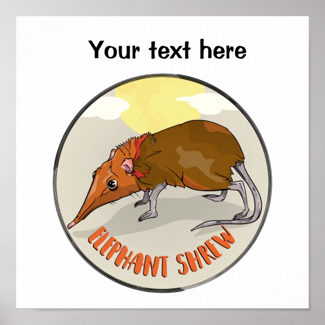 Poster Elephant Shrew (Frente)