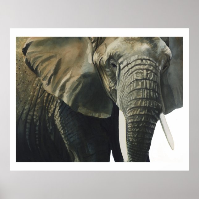 Poster "Elephant" Willife Animal Watercolor (Frente)