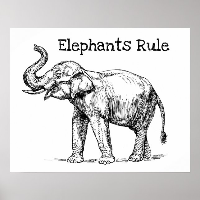 Poster Elephants Rule (Frente)