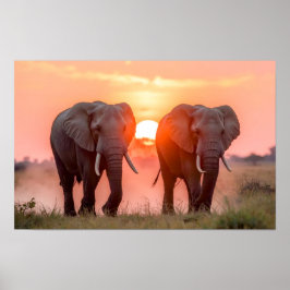 Poster Elephants Walking in Sunset