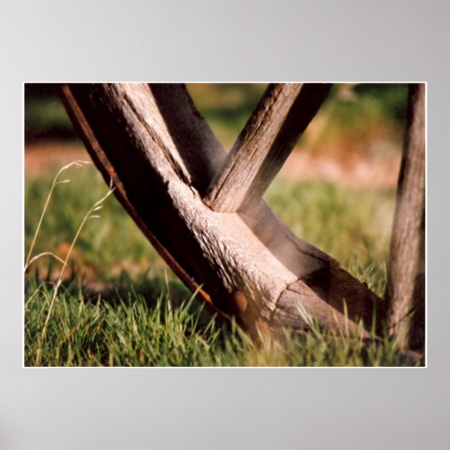 Pôster Eles Pararam Aqui (Frente)