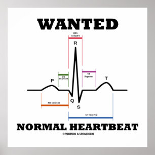 Pôster Eletrocardiograma com pulsação normal desejada ECG