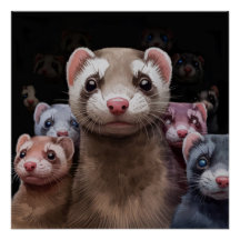 Eleven Stoic Ferret Poster Wall Art