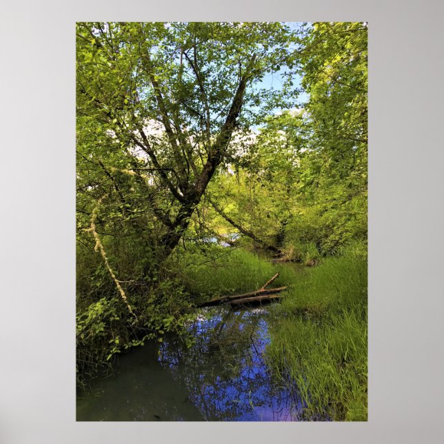 Poster Elijah Bristow State Park, Dexter, Oregon (Frente)