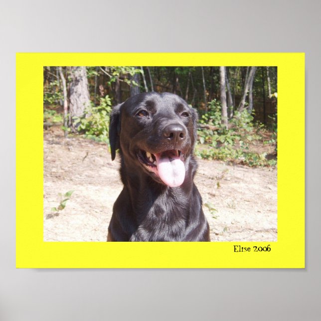 Pôster Elise 2006 (Frente)