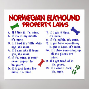 PÔSTER ELKHOUND NORUEGUÊS PL2