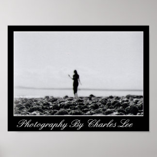 Pôster Elliot Bay Marina 1