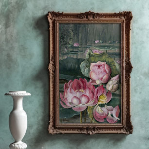 Poster Ellis Rowan Sacred Lotus Water Lily Vintage Flower