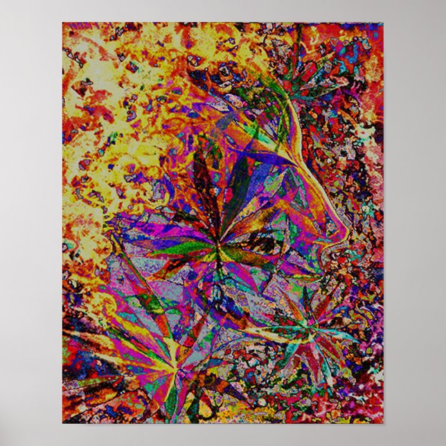 Pôster Elly (Frente)