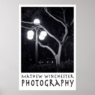 Poster Elm e Lamppost