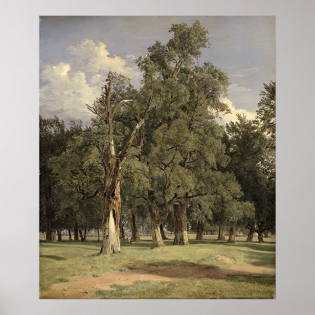 Pôster Elm tree in Prater, 1831 (Frente)