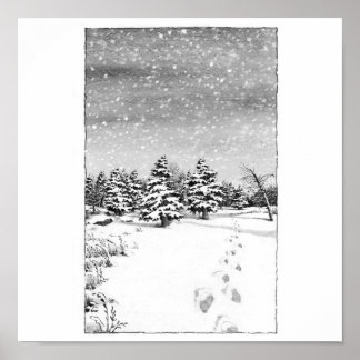 PÔSTER EM MEMÓRIA DE TOM JACKAL™