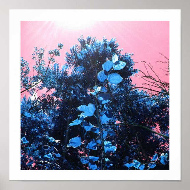 Poster Em Meus Blues (Frente)