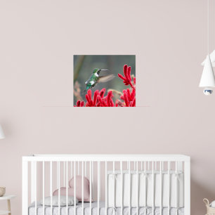 Pôster Em movimento