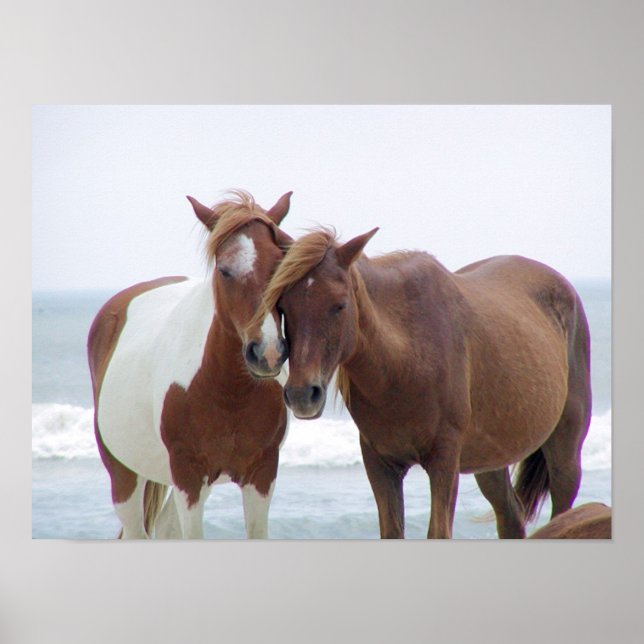 Pôster Em pé (Frente)