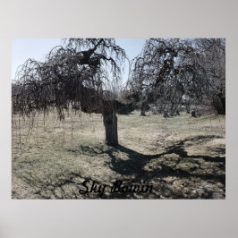 Poster Em pé ao vento