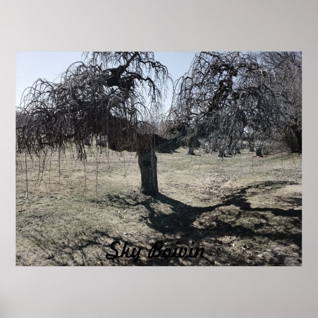 Poster Em pé ao vento (Frente)