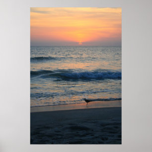 Poster Em The Edge do por do sol II