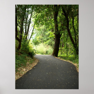 Pôster Em torno da curva