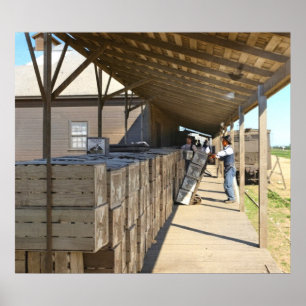 Poster Embalagem De Laranjas Para Transporte Ontário CA 1