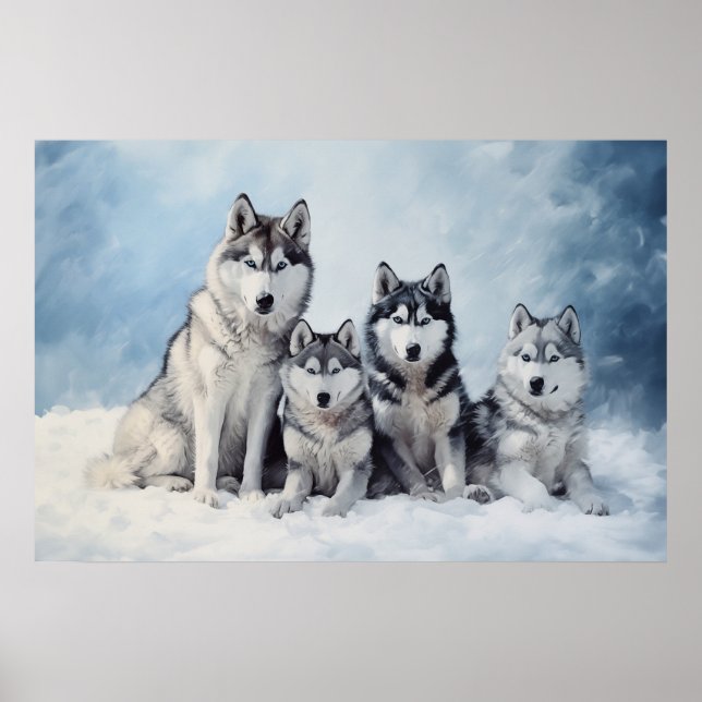 Poster Embalagem Siberian Husky (Frente)