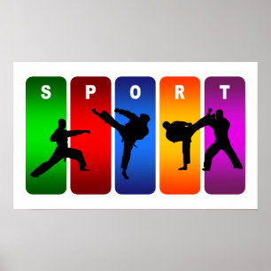 Poster Emblema multicolorido do karaté