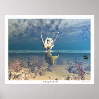 Pôster Embriagando o Sol