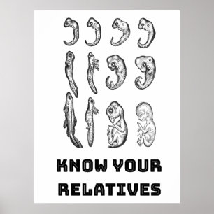 Poster Embriogênese Evolutiva