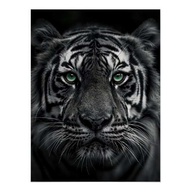 Pôster Emerald-Eyed Tiger Portrait - Black and White (Frente)