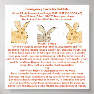 Poster Emergency Facts for Flemish Giant Rabbits