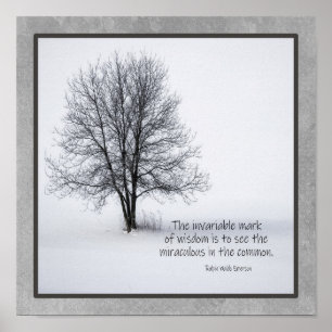 Poster Emerson Cita Ver o milagre