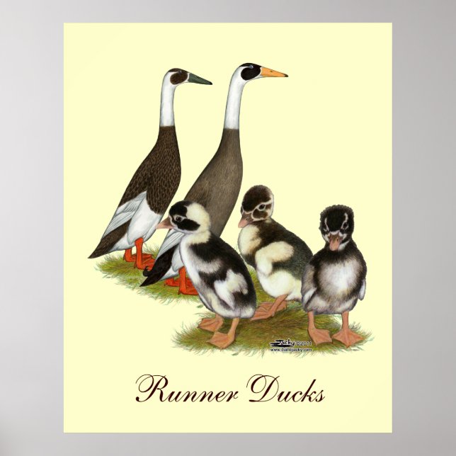 Pôster Emery Penciled Runner Duck Family (Frente)