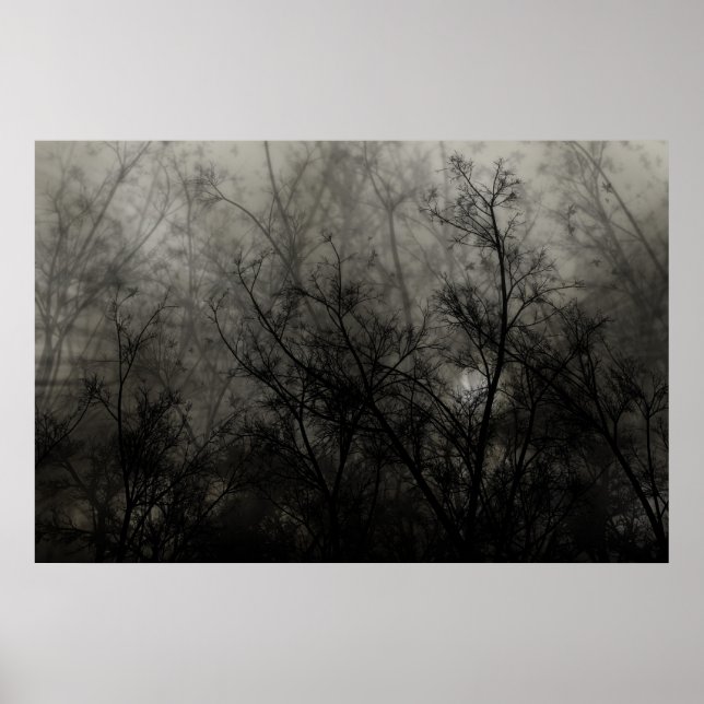 Poster Emoção 3 (Frente)