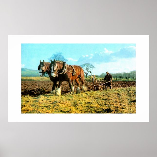 Pôster Emparelhamento (Frente)