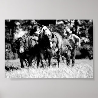 Pôster Emparelhamento