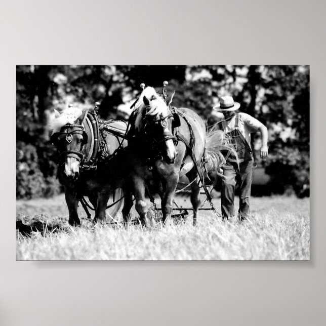 Pôster Emparelhamento (Frente)