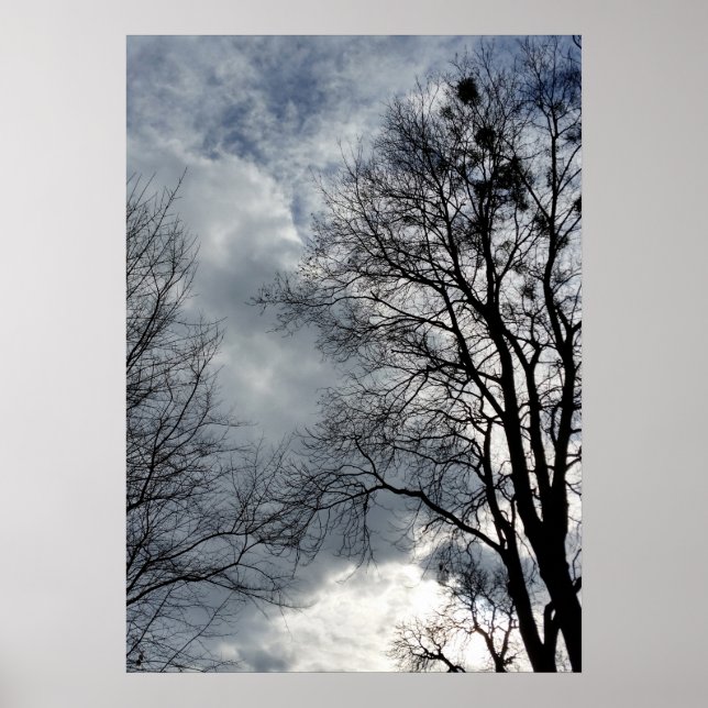 Pôster empty nests (Frente)