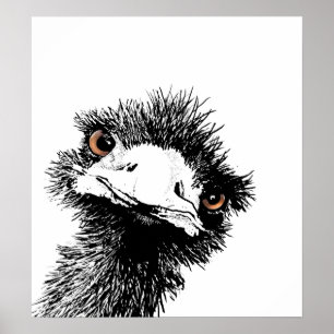 Pôster Emu - caneta e tinta