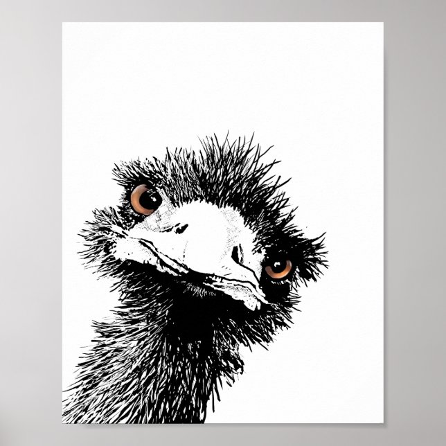 Pôster Emu – Caneta e Tinta (Frente)