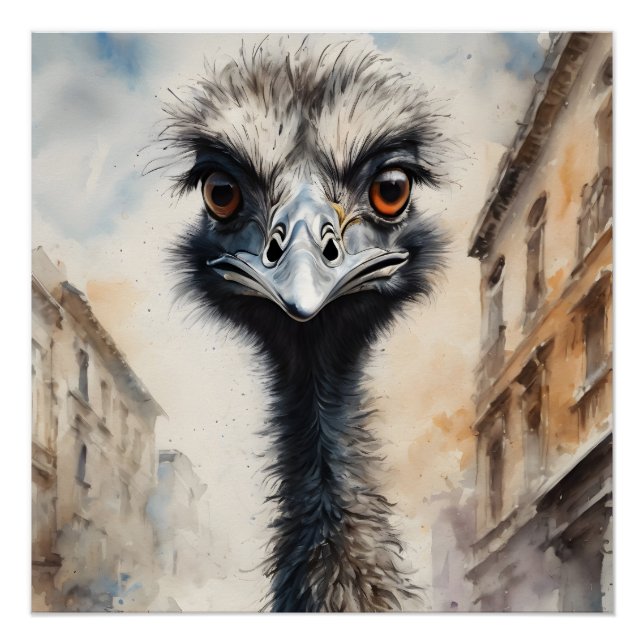 Pôster Emu n.o 2 Poster brilhante (Frente)