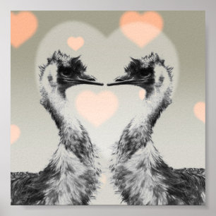 Poster Emus no amor