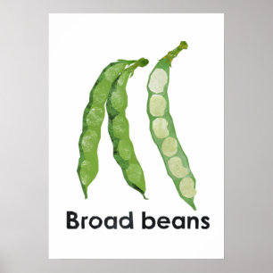 Poster En - Feijão