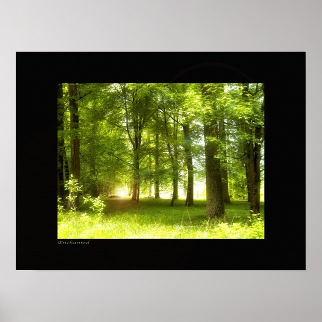 Poster Encantado (Frente)